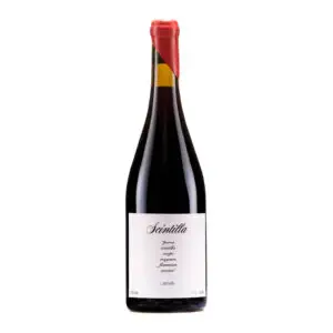 vino tinto Scintilla Pinot Noir