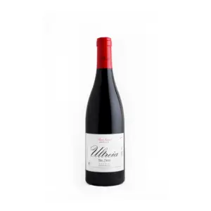 Ultreia Saint Jacques